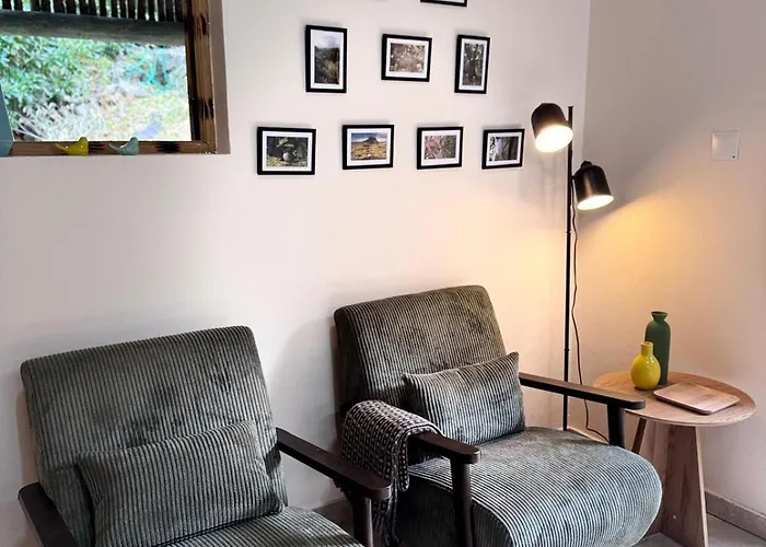 Casa Do Til Domek alpejski Porto Moniz