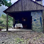 Casa Do Til Dağ evi Porto Moniz