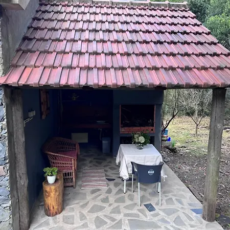 Casa Do Til * Porto Moniz